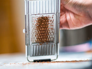 GRATER BLAD - 2